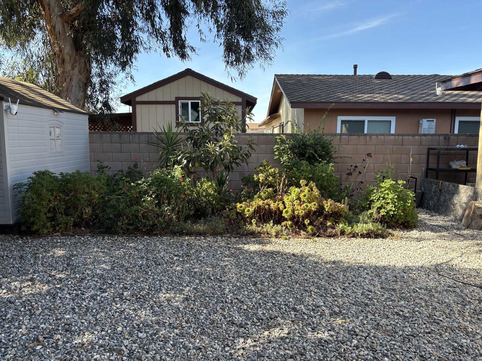 Garden and outdoor space at Revival House Living